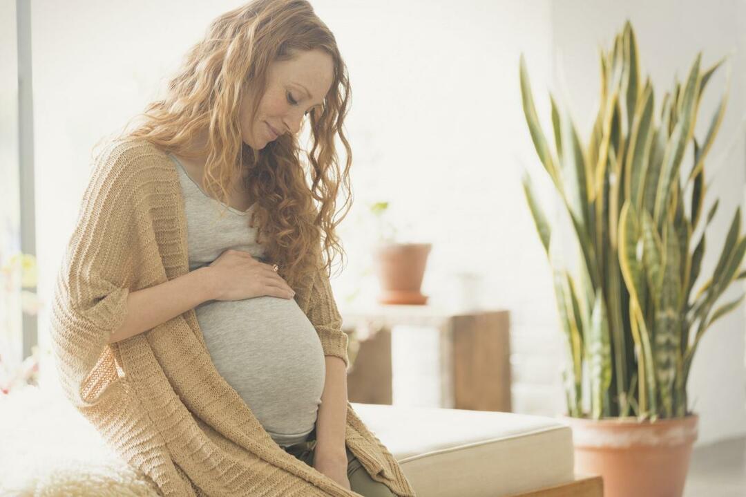 terhes nő
