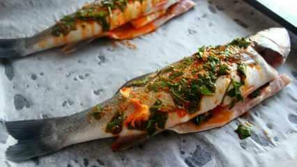 Hogyan kell főzni a kékhalat? A kékhal főzésének legegyszerűbb módja! Sült kékhal recept