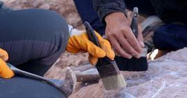 Felfedezés, amely megváltoztatja a történelem menetét: A régészek megtalálták a világ legrégebbi faépítményét