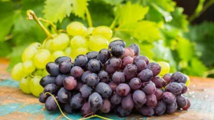 Mi történik, ha egy tál szőlőt eszik egy nap?