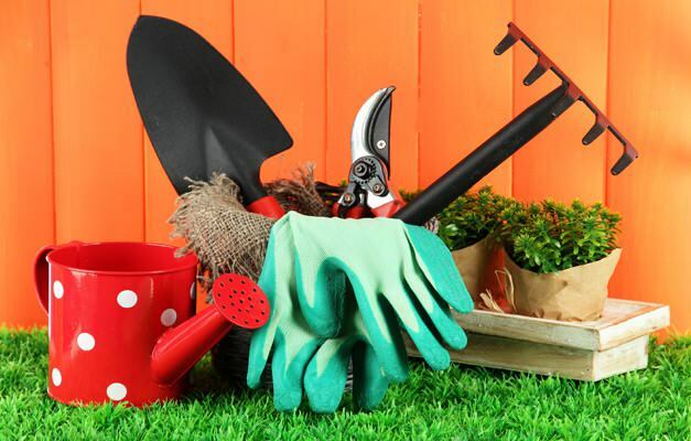 hogyan kell kitakarítani a kertet