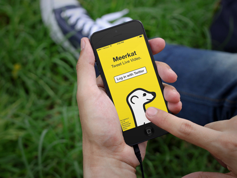 meerkat mobil bejelentkezési képernyő