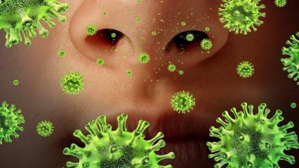 Újra felbukkanó: Mi a Sars vírus és milyen tünetei vannak? Hogyan terjed a Sars vírus?