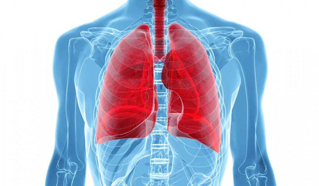Mi a fehér tüdő szindróma és mik a tünetei? Mi a fehér tüdő szindróma kezelése?