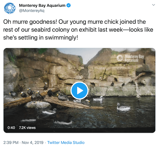 a Monterey Bay Aquarium tweetje a márka közösségi média hangjának példájaként