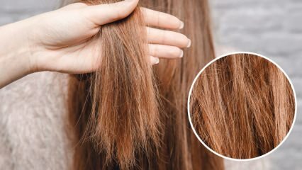 Mit kell kezdeni az oryától leégett hajjal? Hogyan kell a kezelt hajat ápolni?