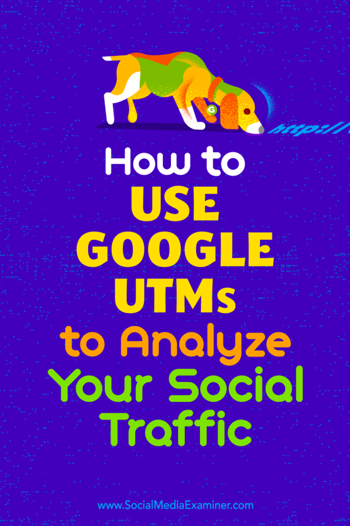 Hogyan használjuk a Google UTM-eket Tammy Cannon közösségi forgalmának elemzéséhez a közösségi média vizsgáztatóján.