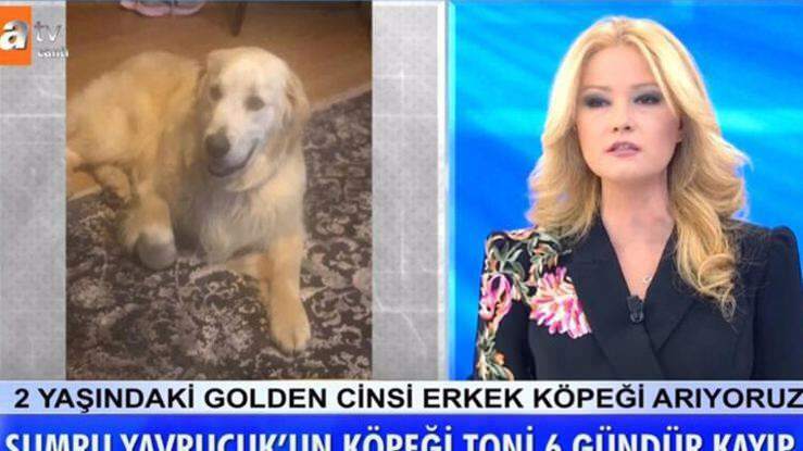 Müge Anlı bemutató jelentette be: Találtak Sumru Yavrucuk színésznő kutyáját ...