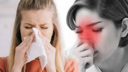 Mi az allergiás rhinitis? Mik az allergiás rhinitis tünetei? Van-e kezelés az allergiás rhinitisre?