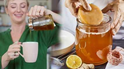 Gyengül a kombucha tea? Hogyan készítsünk fogyókúrás kombucha-t? Kombucha tea előnyei
