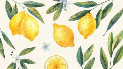 A legjobb citromos receptek! A legegyszerűbb citromos desszert recept