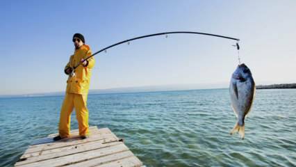 Hogyan lehet horgászni? Milyen trükkökkel jár a horgászbot?