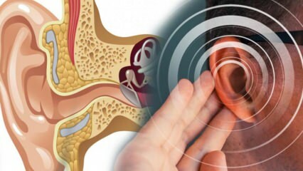 Fülbetegség: Mi okozza a meniert? Milyen tünetei vannak a Meniere-nek? Van gyógyszer?