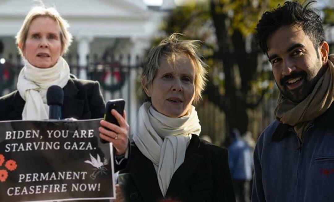 Cyntia Nixon amerikai színésznő a palesztinokért beszélt a Fehér Ház elől!