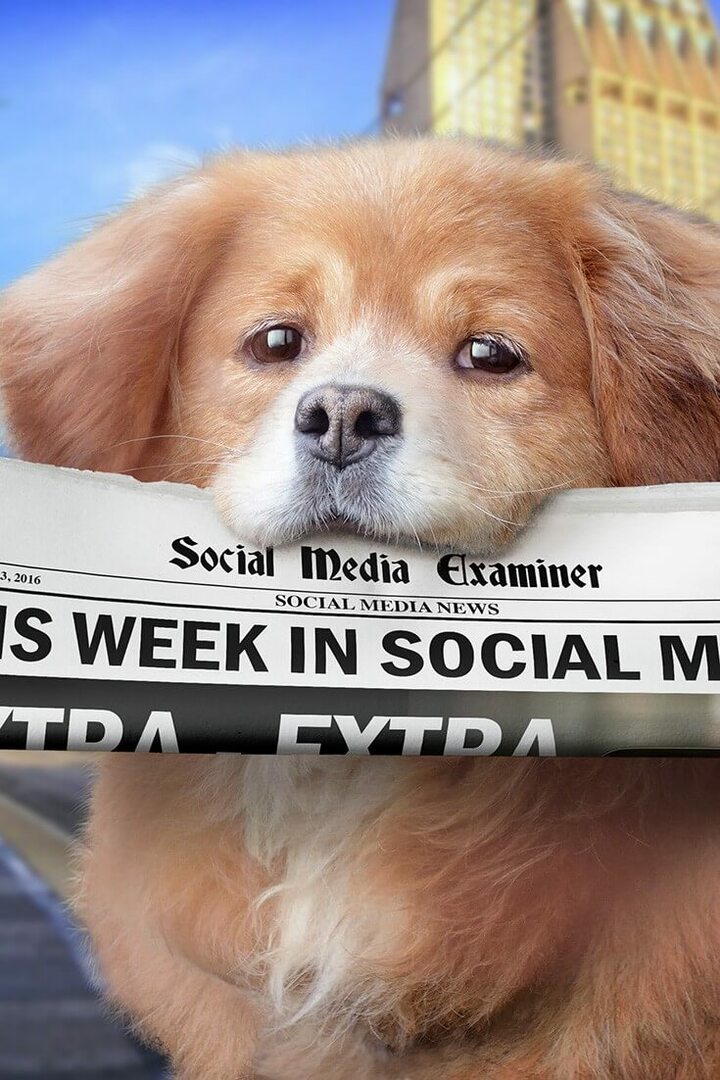 A Facebook Live beindítja a közönségcélzást: ezen a héten a közösségi médiában: Social Media Examiner