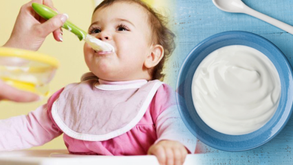 Hogyan készítsünk joghurtot csecsemők számára? Házi gyümölcs joghurt receptek csecsemők számára