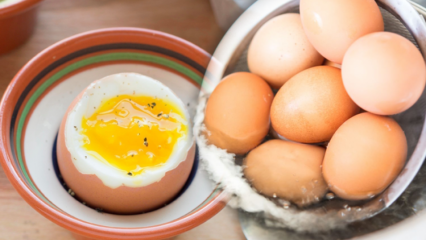 Milyen előnyei vannak az alacsony főtt tojásnak? Mi történik, ha naponta két főtt tojást eszik?