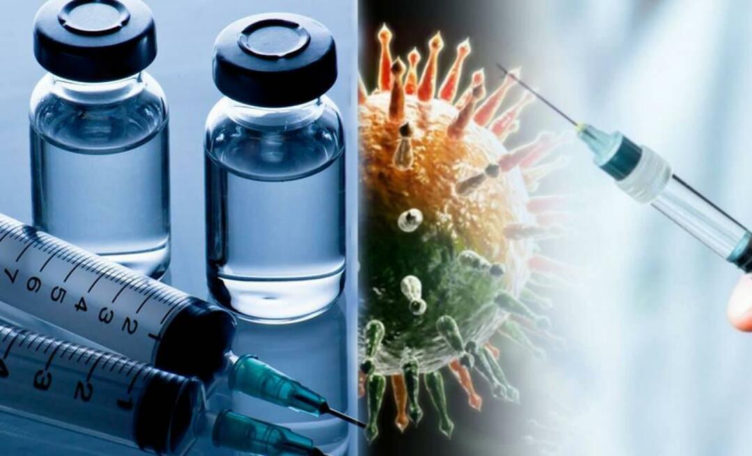 Mik az influenza elleni védőoltások árai? Hol árusítják az influenza elleni védőoltásokat? Ki kapja meg az influenza elleni védőoltást?