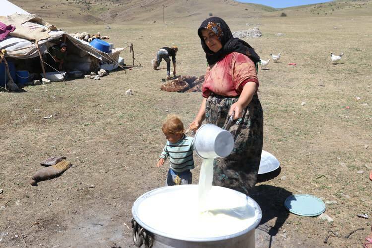 Kihívó nomád nők tejútja a szamarakon!