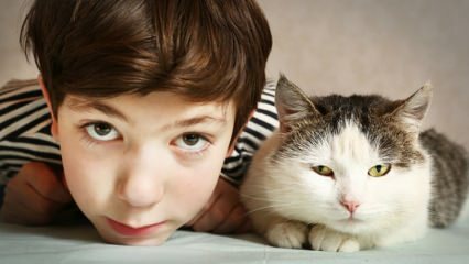 Milyen hatással vannak a háziállatok a gyermekekre?