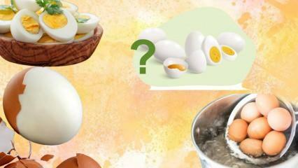 Főtt tojás diéta! A tojás jóllakja? 12 kiló egy hét alatt 