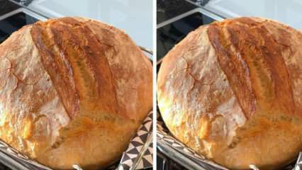Hogyan készítsünk ropogós falusi kenyeret? A legegészségesebb falusi kenyér recept