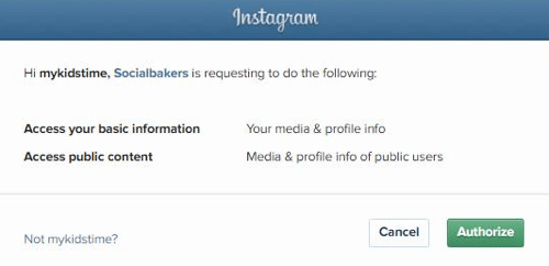Engedélyezze a Socialbakers számára, hogy hozzáférjen az Instagram-fiókjához.