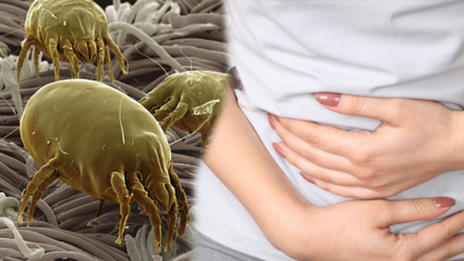 Hol van a test legtisztább része és hogyan tisztítják? Milyen betegségeket okoznak a paraziták? 