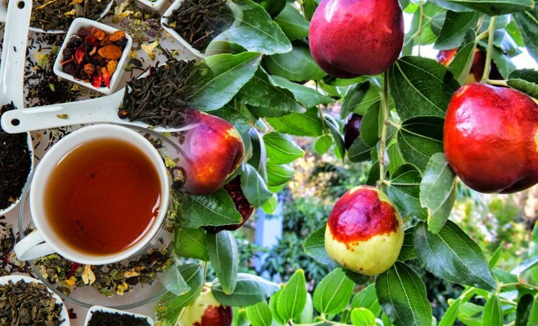 Milyen előnyei vannak az Ibn Sina által ajánlott zsidótövisbogyó-teának? Mire jó a zsidótövis tea?