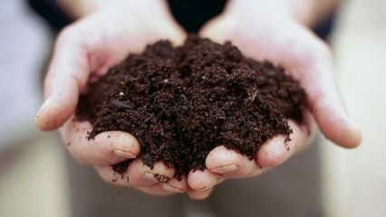 Hogyan lehet megelőzni a cserepes talaj formálódását?