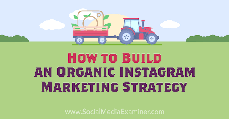 Corinna Keefe organikus Instagram -marketingstratégiájának felépítése a közösségi média vizsgáztatón.