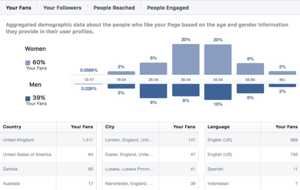 A Facebook Insights közönség demográfiai adatai.