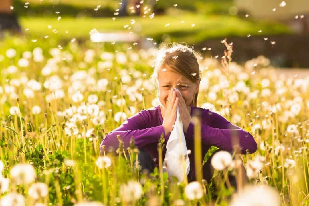 Mit kell figyelembe venni, hogy megvédjük a gyermekeket a szezonális allergiáktól