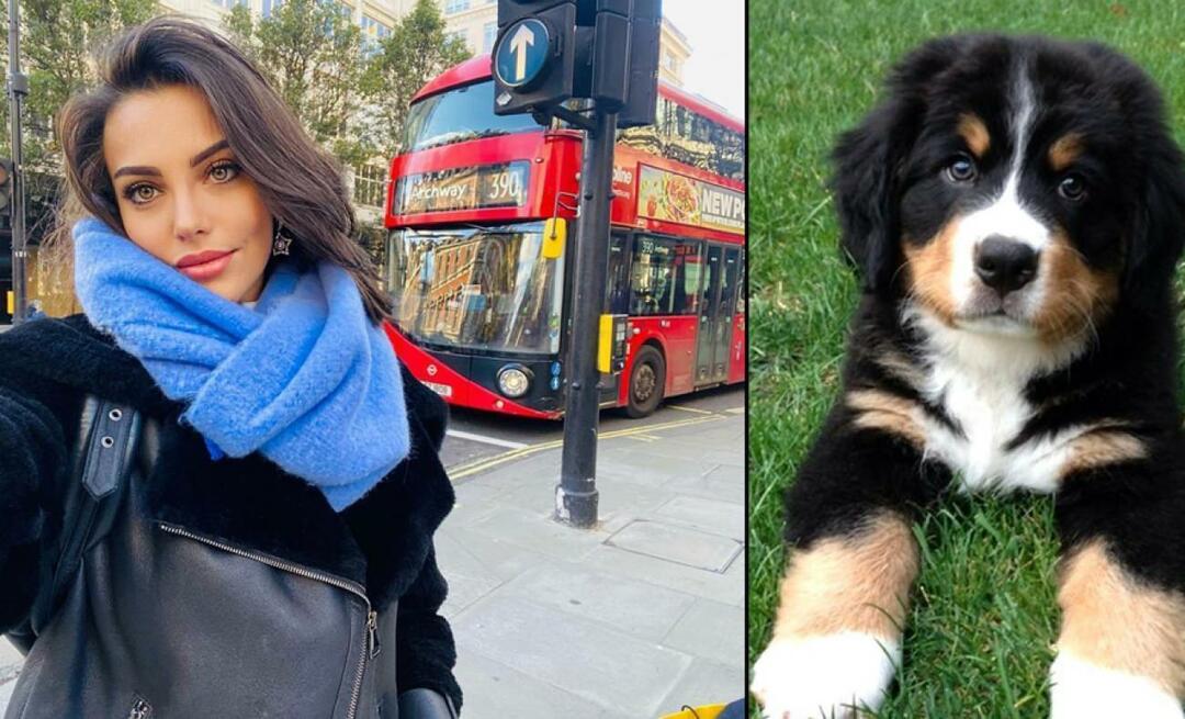 Türkay Tuvana színésznő életét adta kutyájáért!