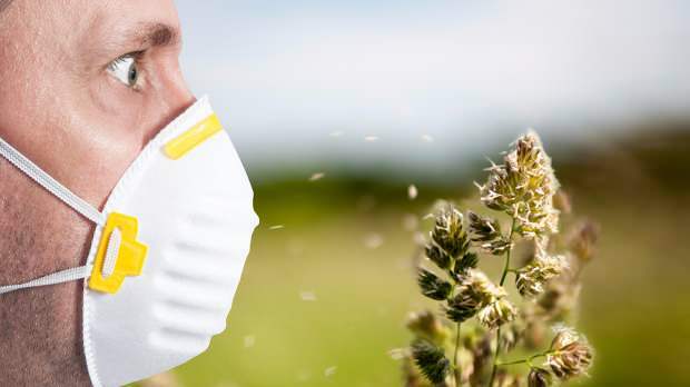 a tavaszi allergiát virágpor, háziállatok, megnövekedett hőmérséklet és por okozza