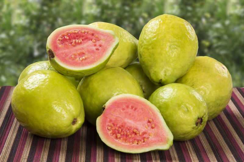 Mi a guava gyümölcs? Hogyan kell enni a guava gyümölcsöt és milyen előnyei vannak?