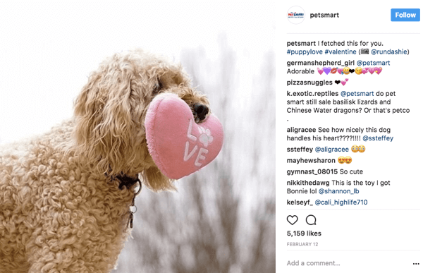 Amikor a PetSmart újra megosztja a felhasználói fotókat az Instagram-on, a fotófeliratot az eredeti poszternek adják.
