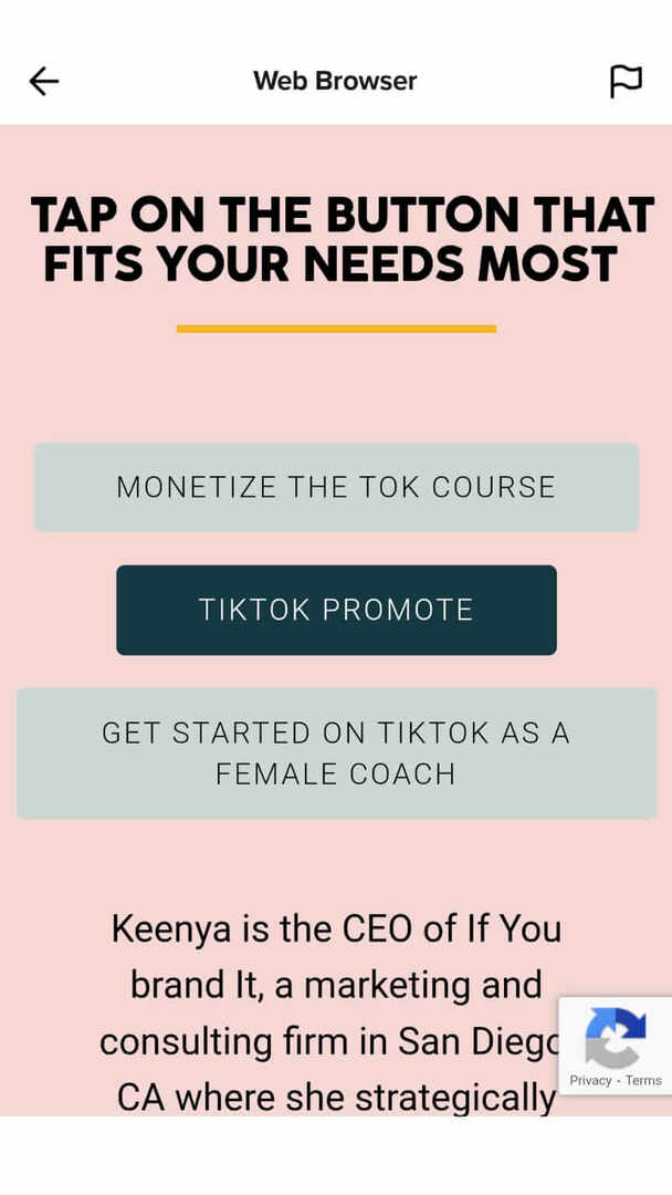 how-to-catch-leads-from-tiktok-sharing-links-bio-linktree-example-13