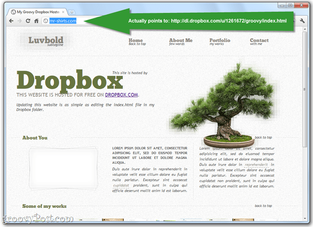 közzétesz weboldalakat a dropbox nyilvános mappájában