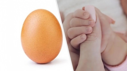 Rekordos tojás 28 millió kedveléssel