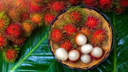 Mi az a Rambutan? Milyen előnyei vannak a rambutan gyümölcsnek? Hogyan lehet enni rambutánt?