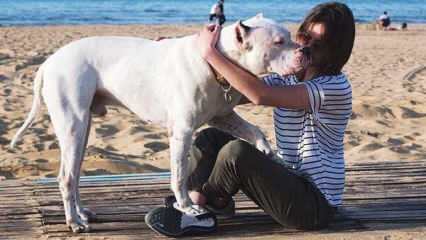 Alina Boz fiatal színésznő búcsút mondott halott kutyájáról! Ki az Alina Boz?