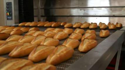 A szakértők figyelmeztettek: Helyezze a kenyereket 10 percig 90 fokos sütőbe