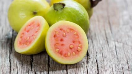 Mi a Guava gyümölcs? Milyen előnyei vannak?
