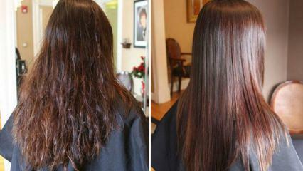 Mit kell kezdeni a száraz hajjal? A száraz haj hidratálásának legtermészetesebb módjai