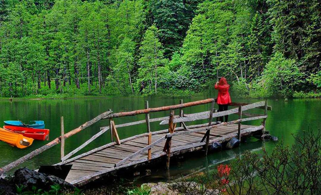 Hol van Artvin? Hová menjünk Artvinban? Milyen látnivalókra számíthatok Artvin területén?