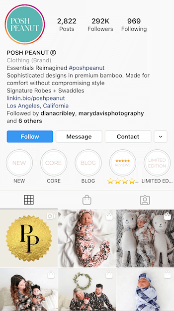 az üzleti életre optimalizált Instagram bio példája
