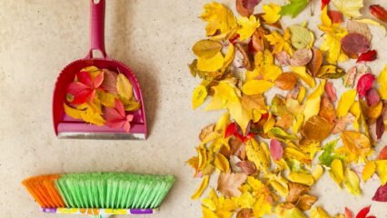 Az őszi takarítás gyakorlati módszerei