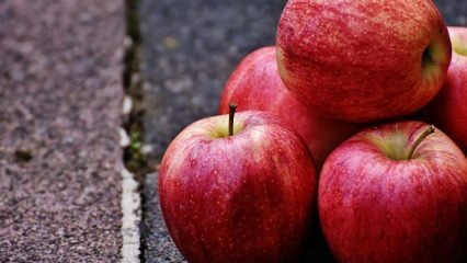 Milyen előnyei vannak az alma fogyasztásának a terhesség alatt?