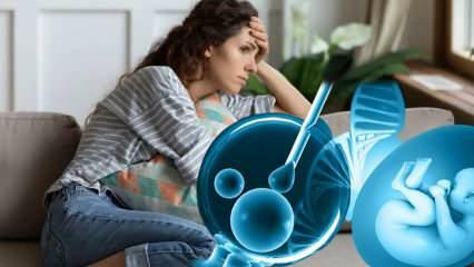 A stressz negatívan befolyásolja az IVF kezelést! Milyen hatásai vannak a stressznek az IVF kezelésben?